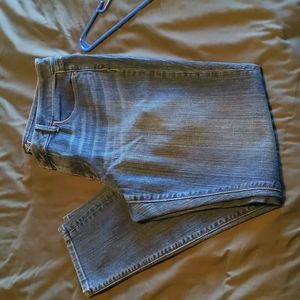 The Loft Curvy Skinny Jeans